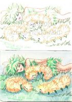 Summer Afternoon 1